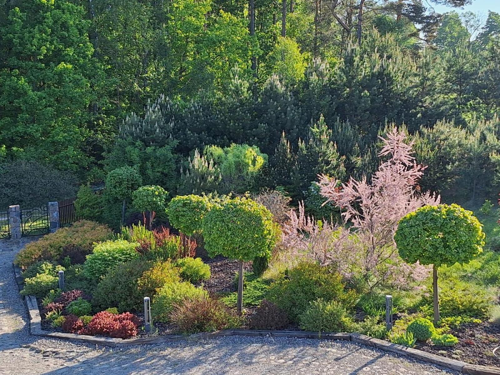 Borowy Zakatek Villa Stara Kiszewa Eksteriør bilde